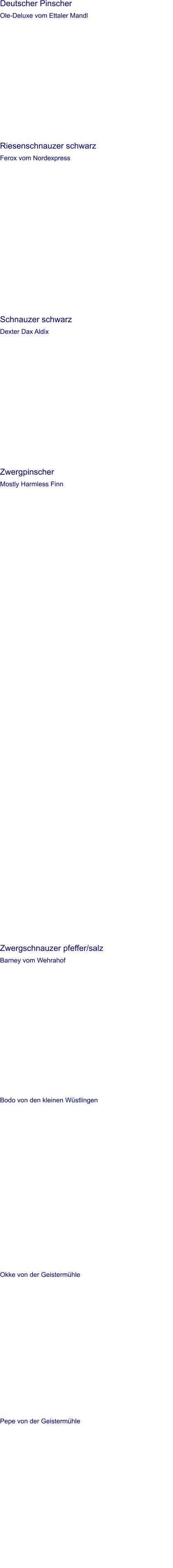 Deutscher Pinscher Ole-Deluxe vom Ettaler Mandl   Riesenschnauzer schwarz Ferox vom Nordexpress   Schnauzer schwarz Dexter Dax Aldix   Zwergpinscher Mostly Harmless Finn         Zwergschnauzer pfeffer/salz Barney vom Wehrahof   Bodo von den kleinen Wüstlingen    Okke von der Geistermühle    Pepe von der Geistermühle