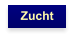 Zucht